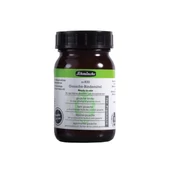 Médiumok és lakkok gouache technikához